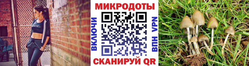 Псилоцибиновые грибы GOLDEN TEACHER  дарк нет формула  Верхний Тагил 